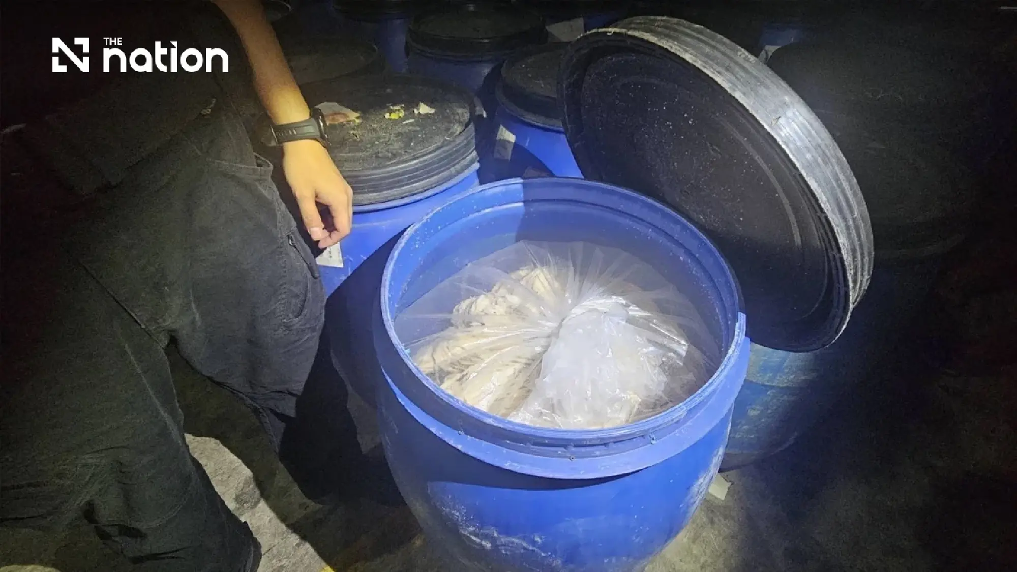 Thai police seize over 5 tonnes of pork intestines in smuggling probe