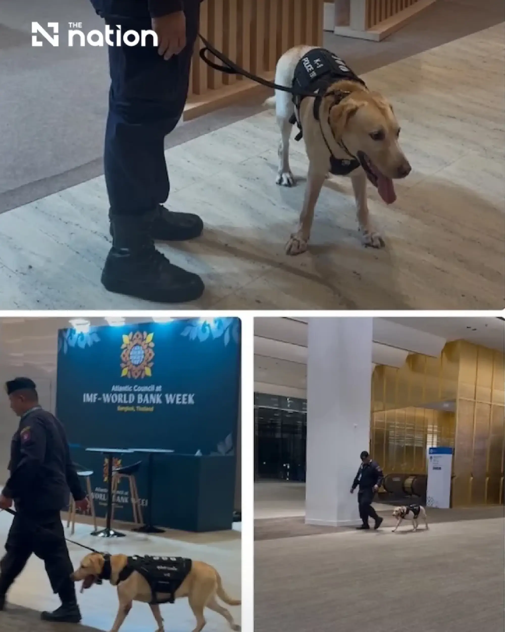 K-9s deployed for security at IMF and World Bank meetings in Thailand