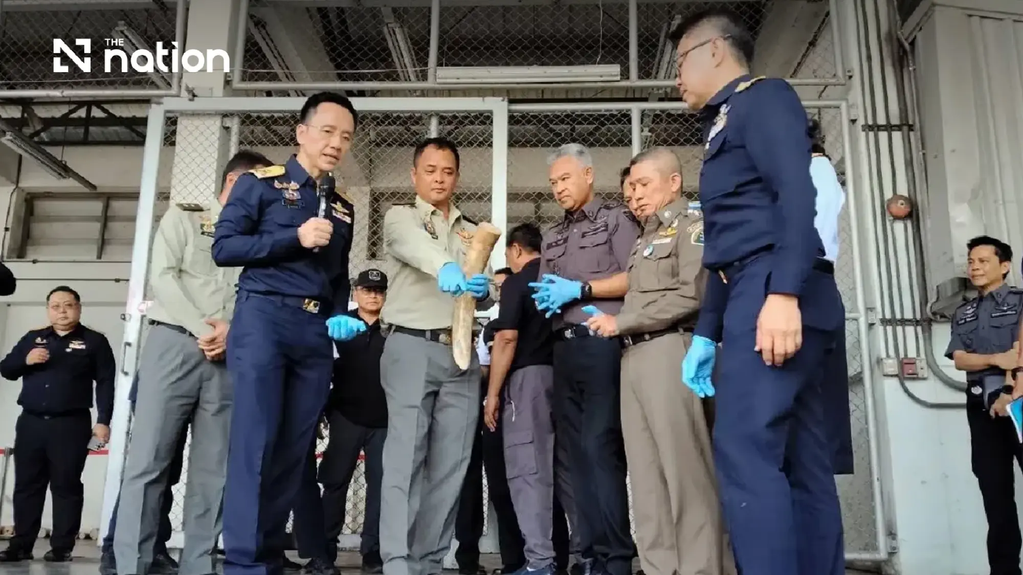 Thailand seizes over 3.1 tonnes of ivory hidden in timber from Zambia