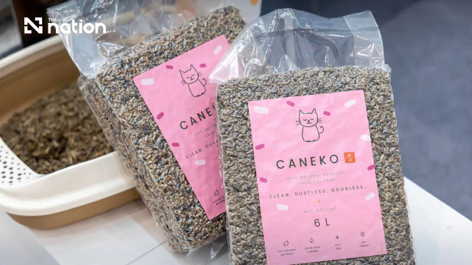 From Student Competition to Store Shelves: Caneko Turns Sugarcane Bagasse into Cat Litter 