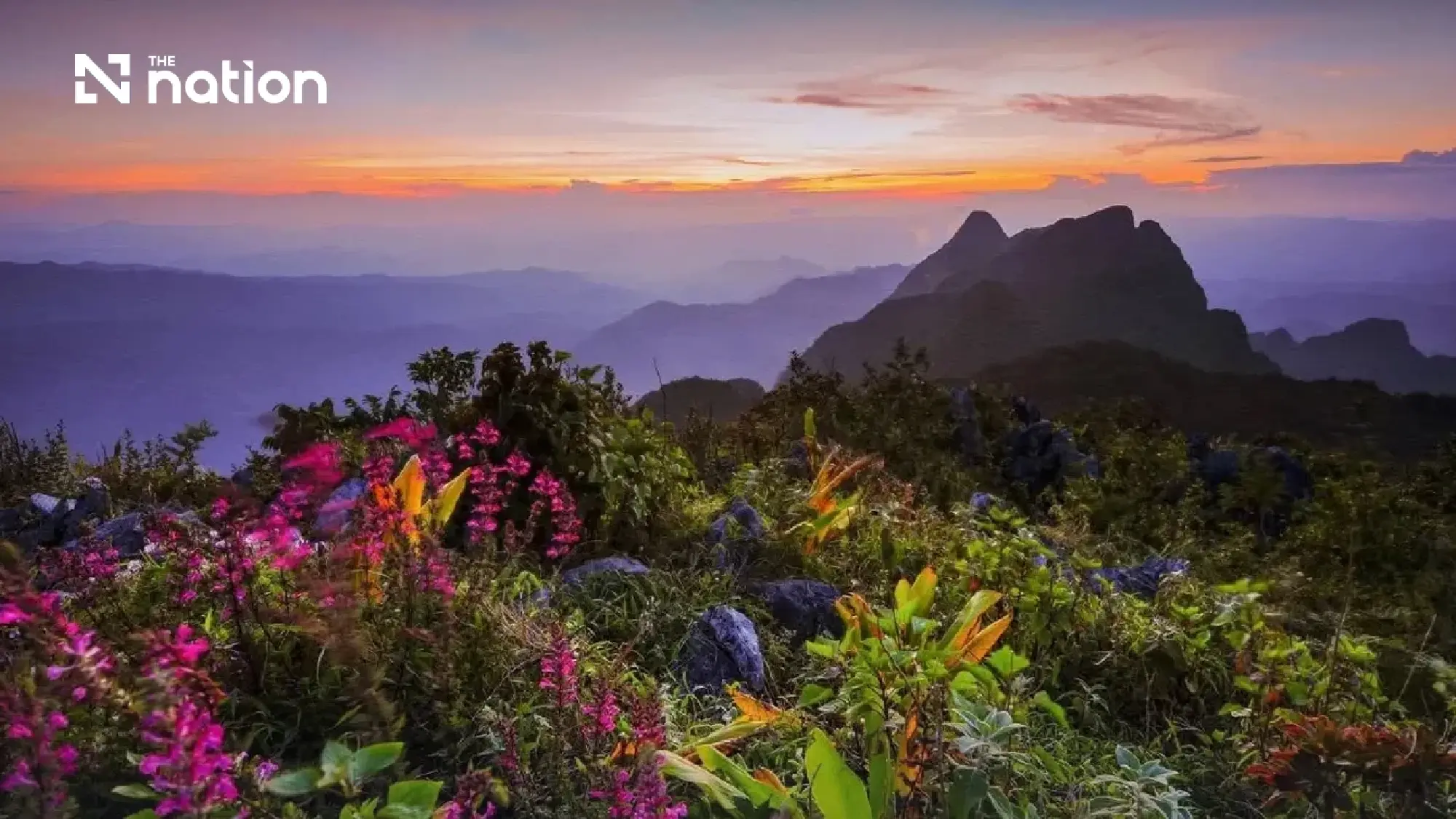 Doi Luang Chiang Dao opens online bookings for 2026–27 treks