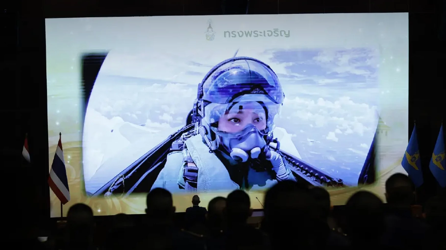 Air chief links Queen’s first solo Gripen flight on October 8 to troop morale