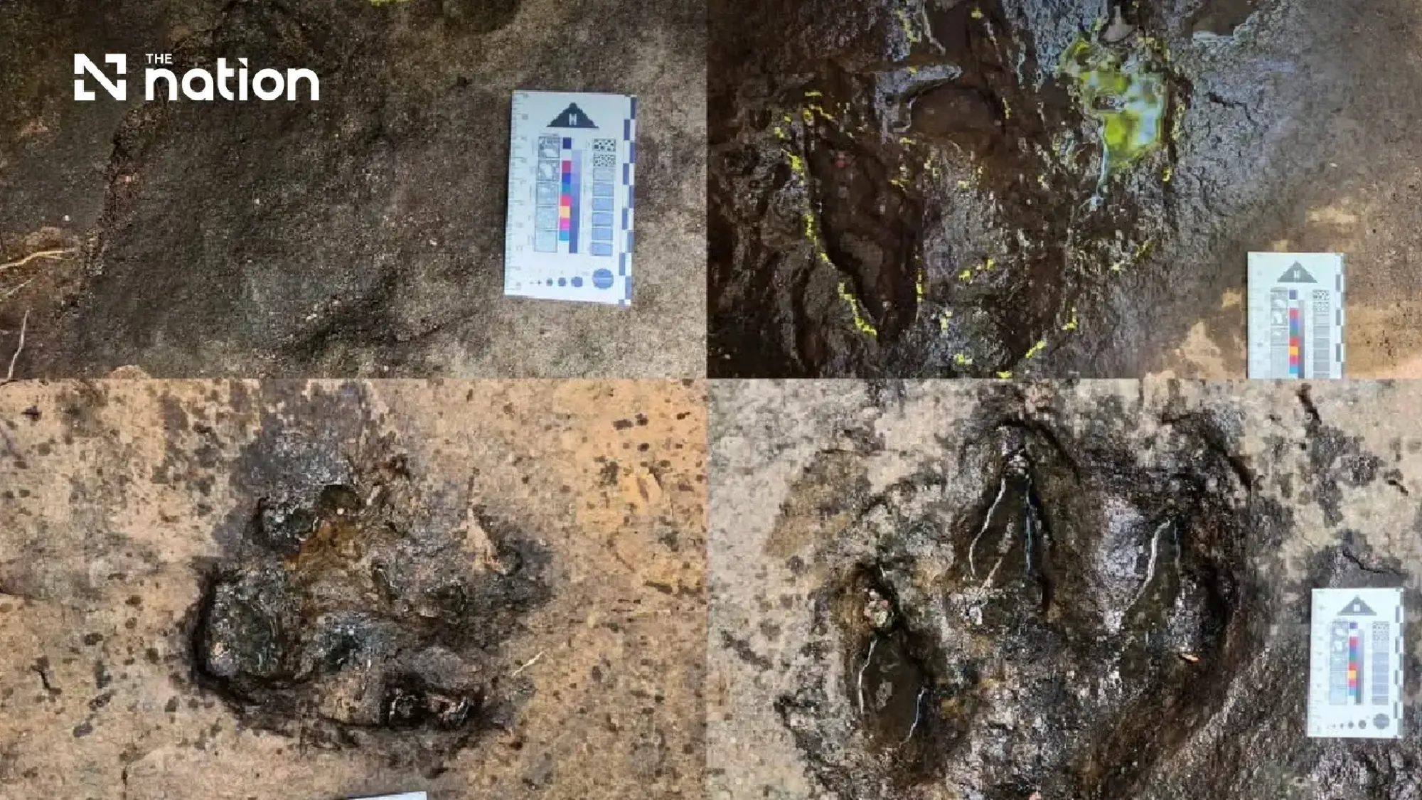 Thailand confirms six 120-million-year-old dinosaur footprints on October 20