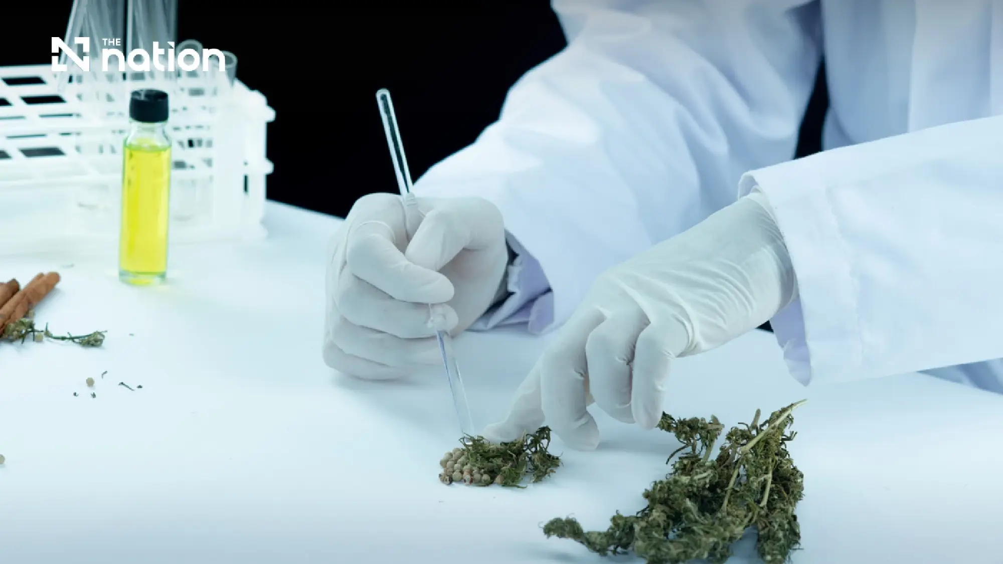Thailand targets global cannabis, hemp and kratom market with higher standards