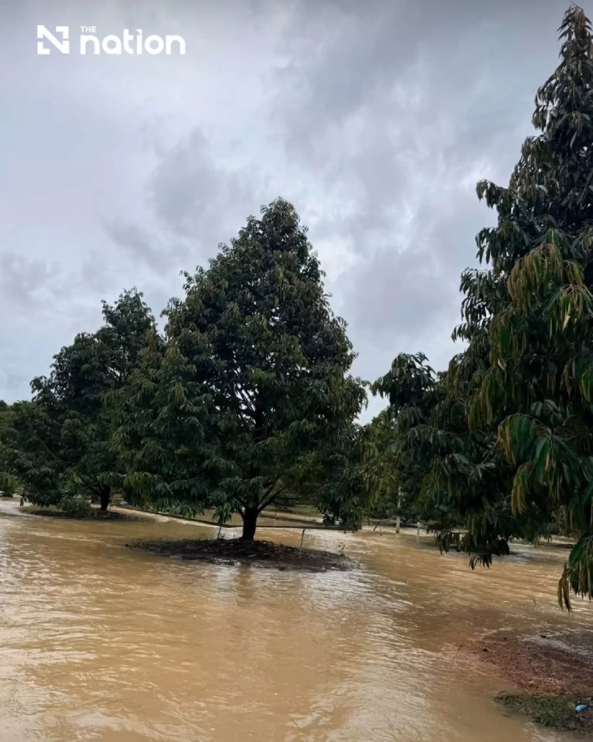 Thailand floods hit 1.7m rai including over 26,000 rai of orchards