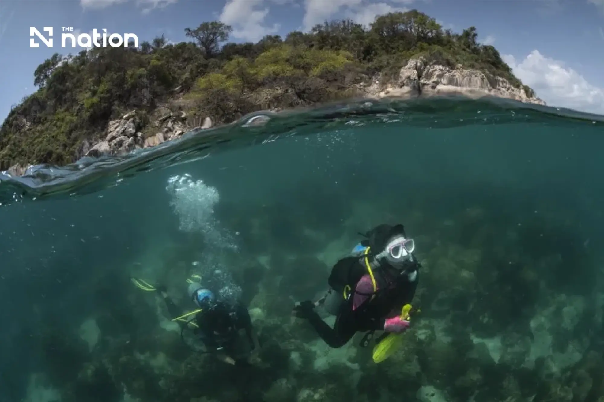 Thai scientists plan space tests on bacteria for coral conservation