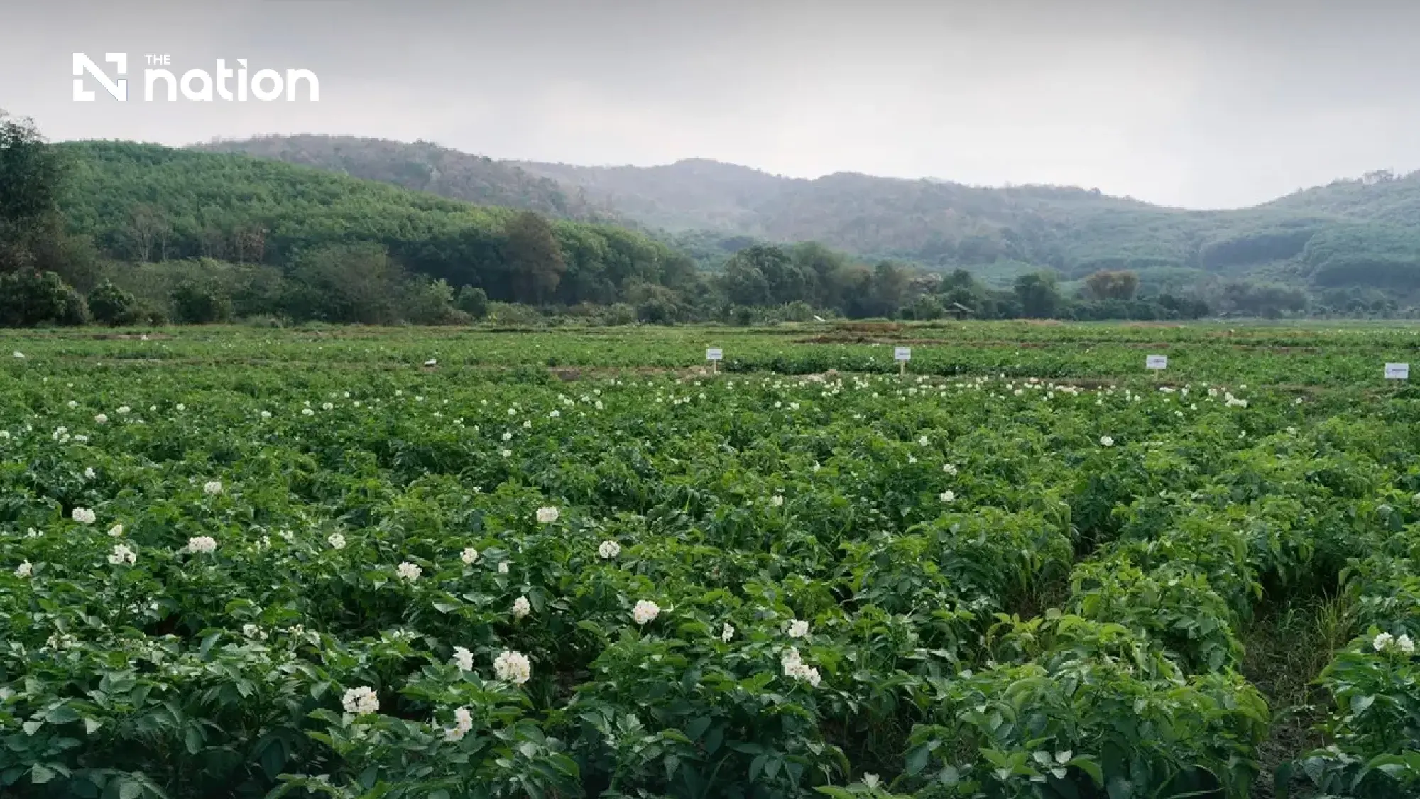 PepsiCo’s Thai operations offer lessons in sustainability