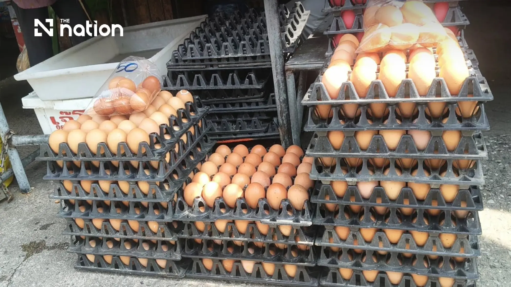 Flooding raises vegetable and egg prices as supplies fall in Thailand