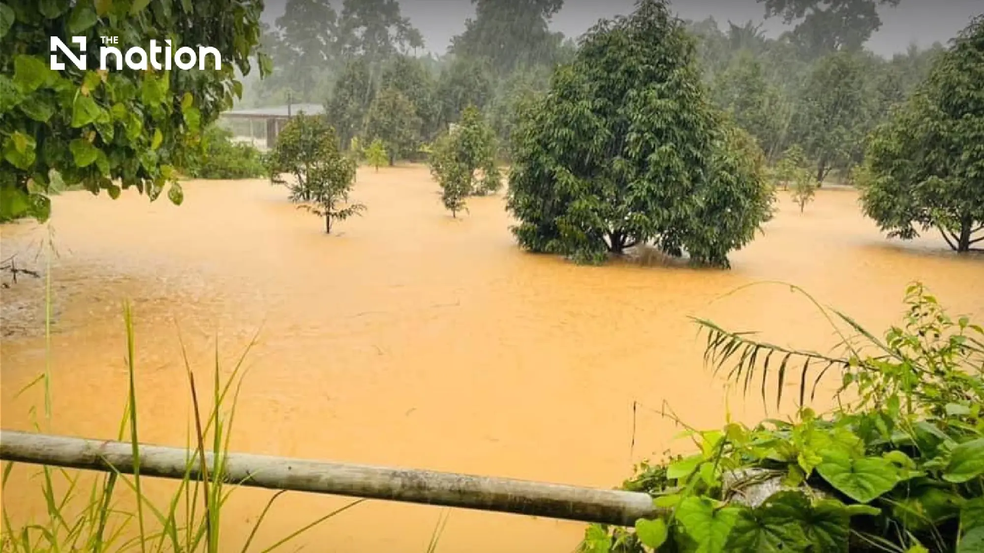 Floods hit Thai farms, exports and growth as losses top THB69bn