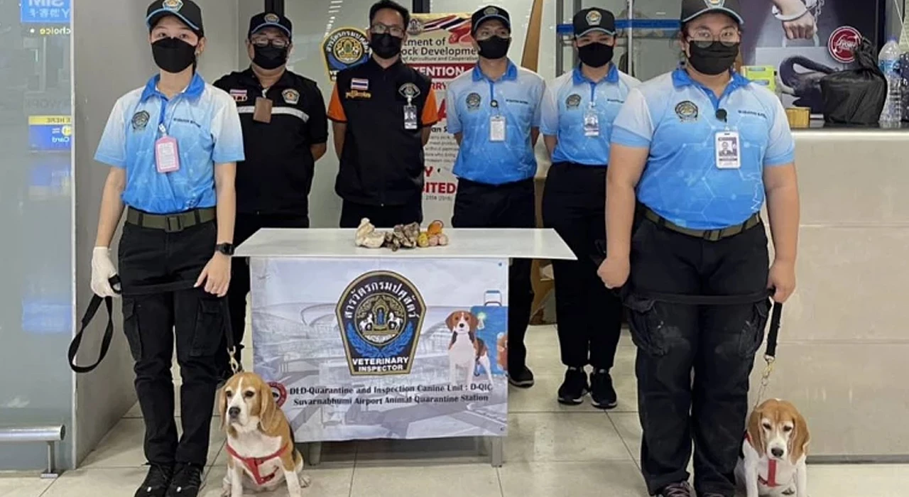 Nationthailand - nationthailand