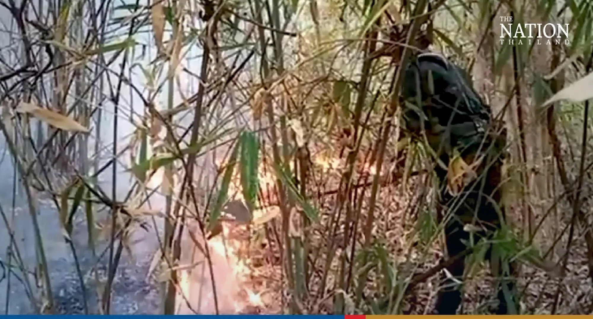 Doi Suthep Forest Fires - Photo 4