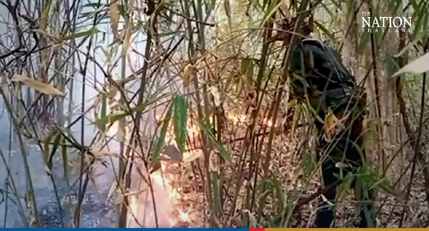 Doi Suthep Forest Fires - Photo 4