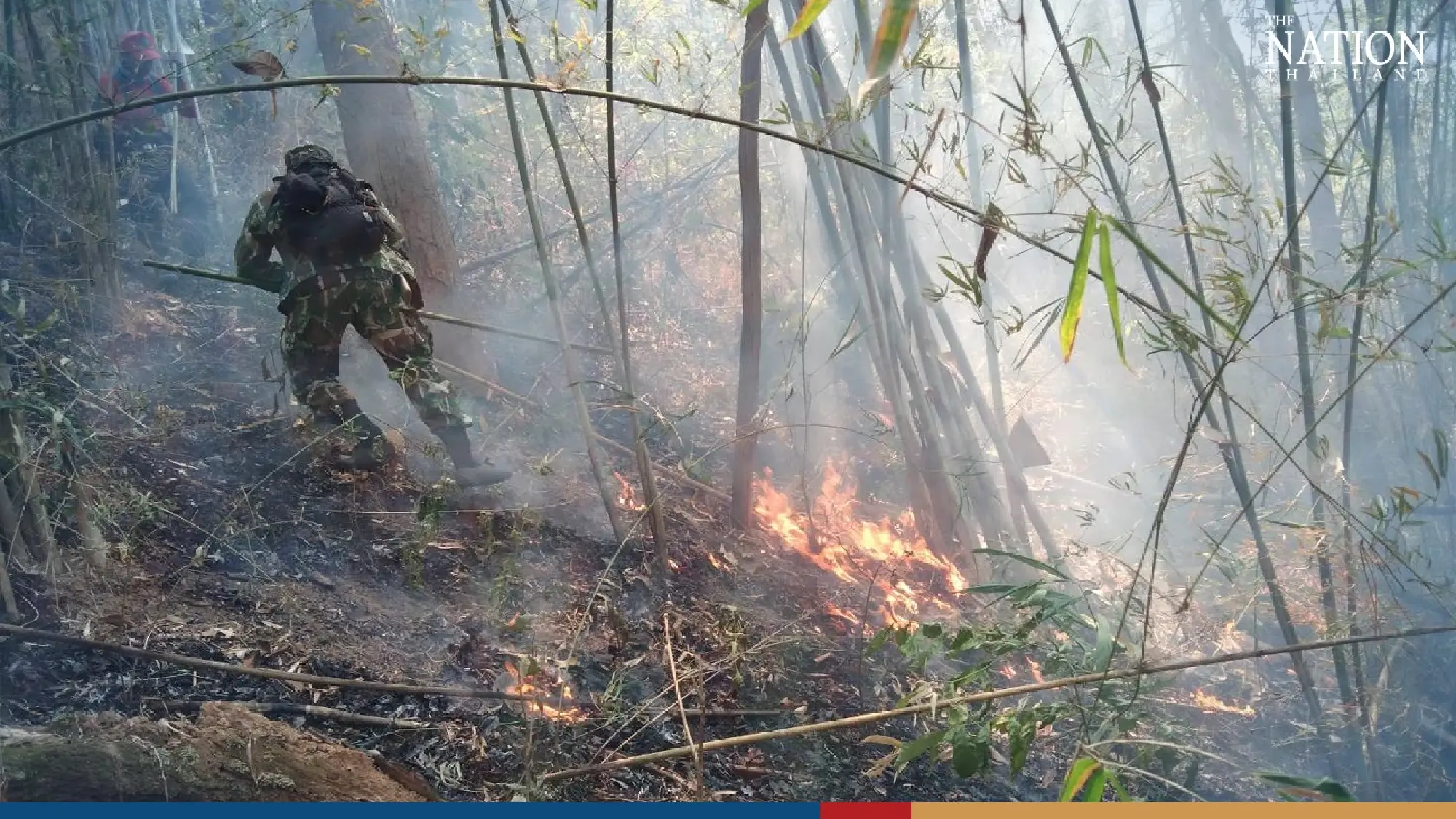 Shivering fox cubs rescued from forest fire in Lampang - Photo 2