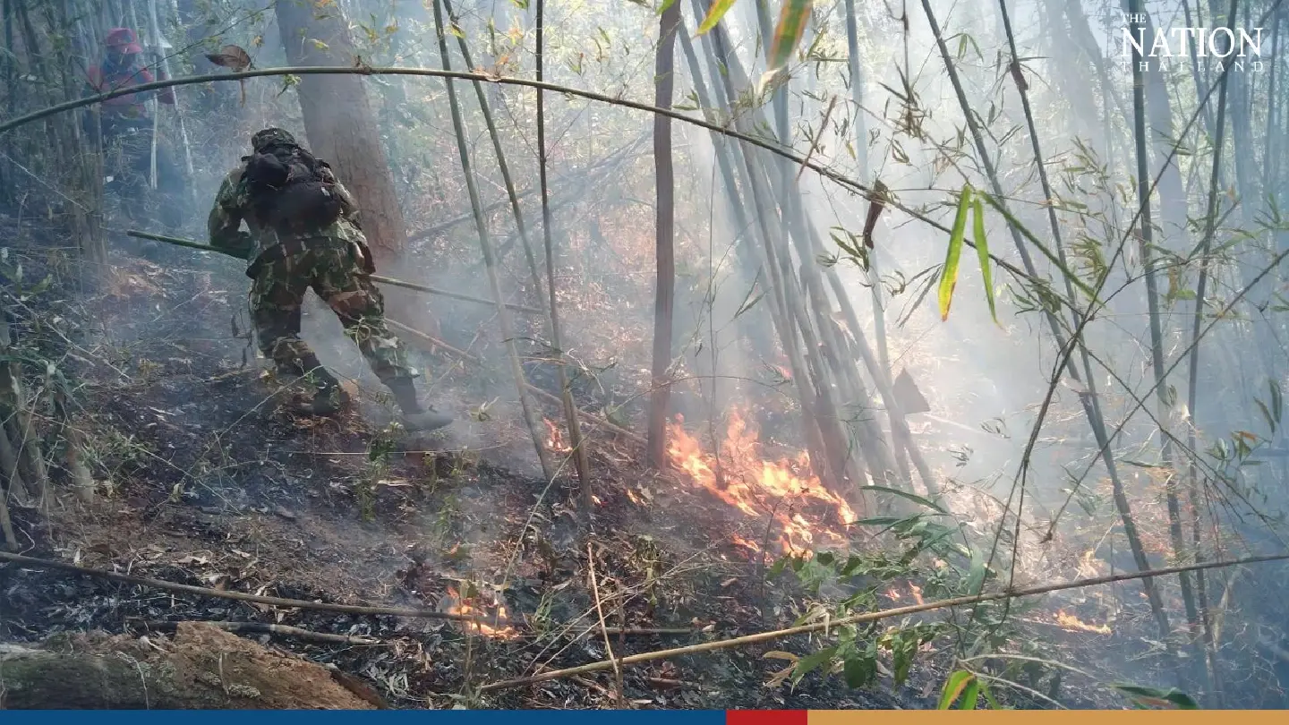 Shivering fox cubs rescued from forest fire in Lampang - Photo 2