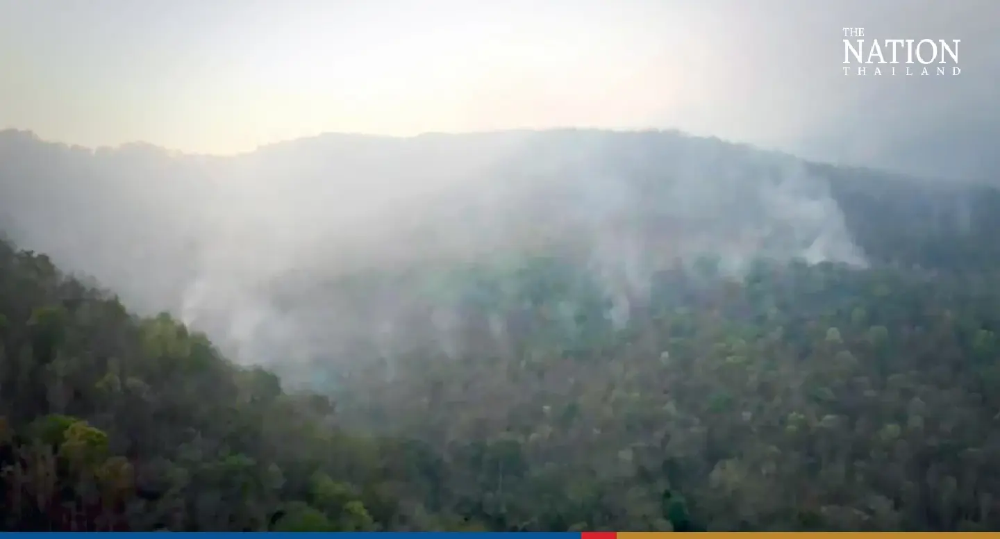 Doi Suthep Forest Fires - Photo 1
