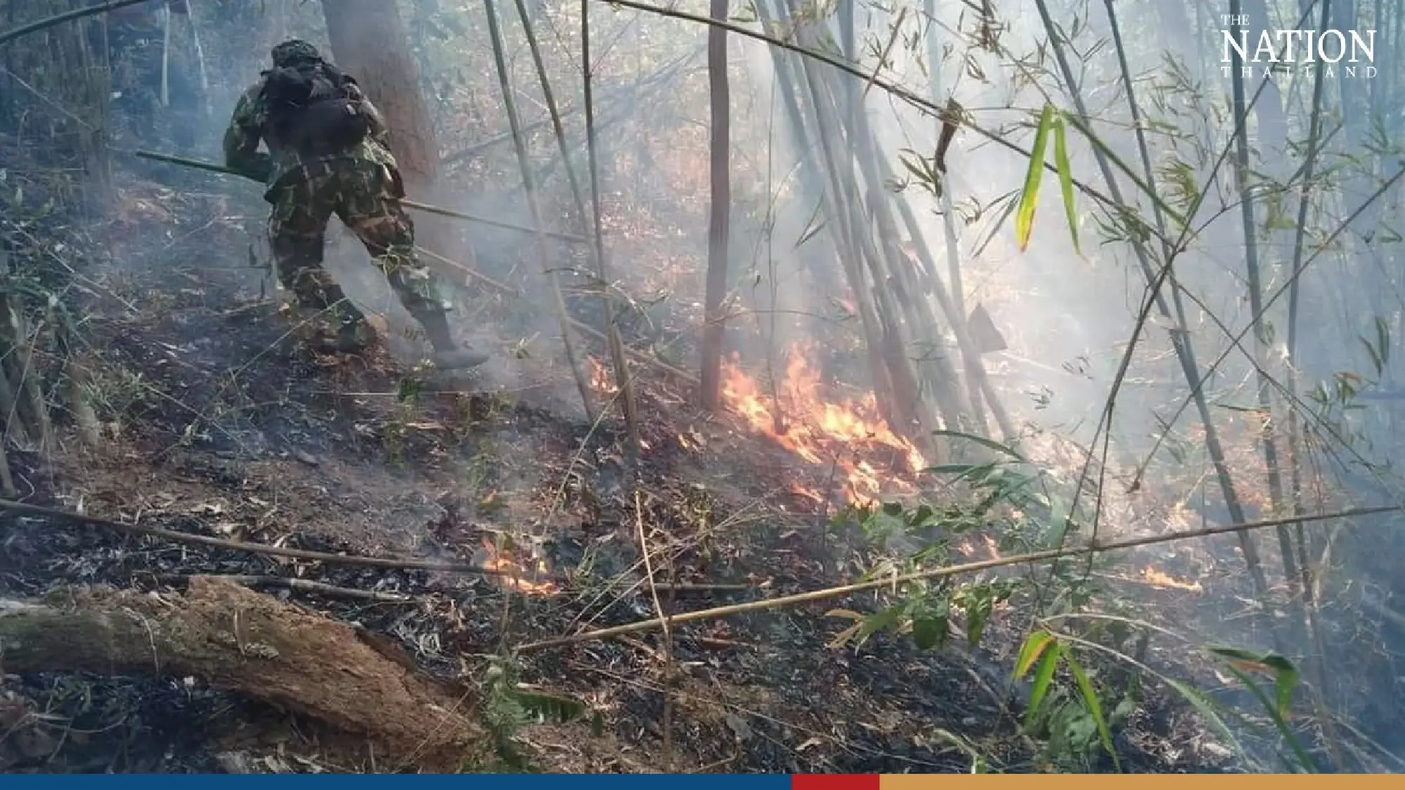 Shivering fox cubs rescued from forest fire in Lampang - Photo 1