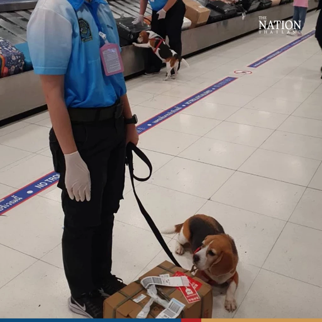 Nationthailand - nationthailand
