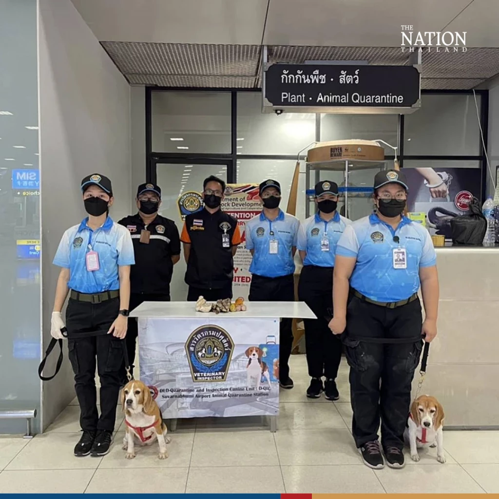 Nationthailand - nationthailand