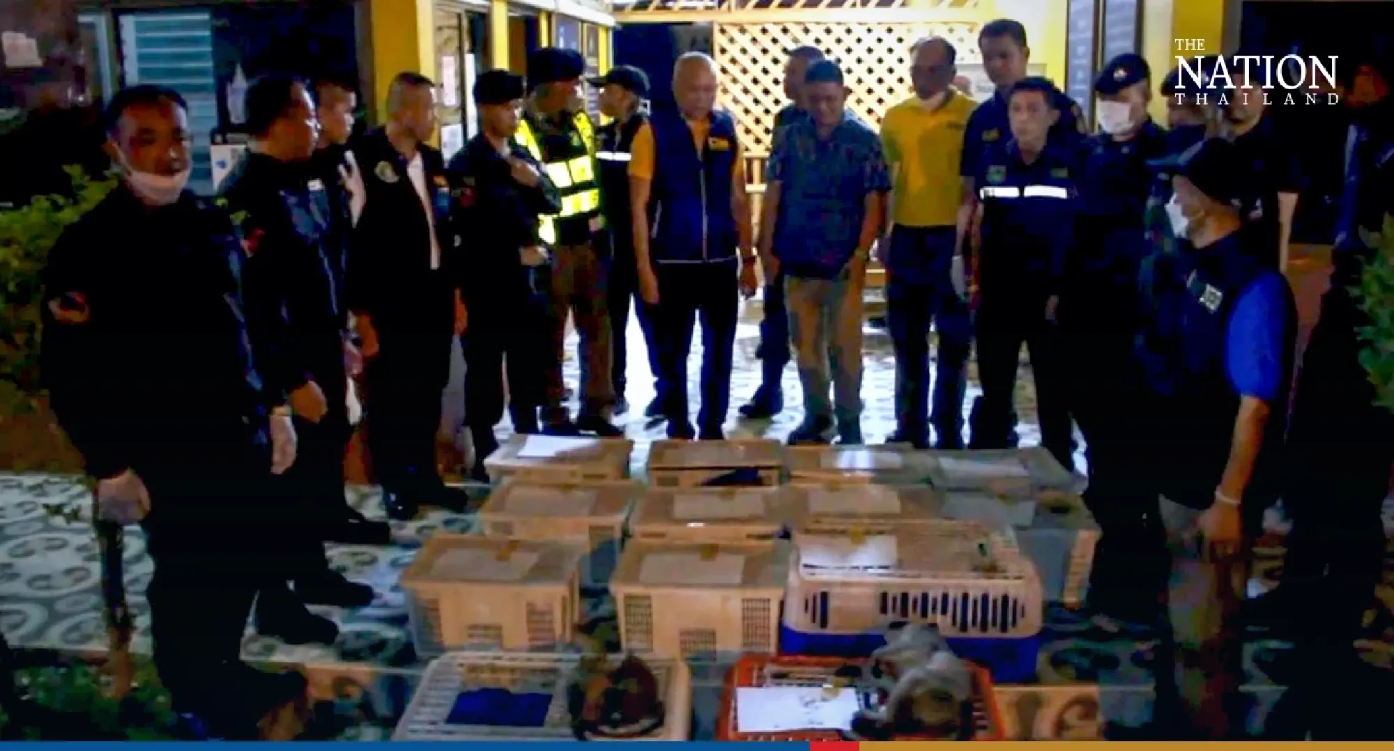 Udon Thani monkey smuggling foiled - Photo 6