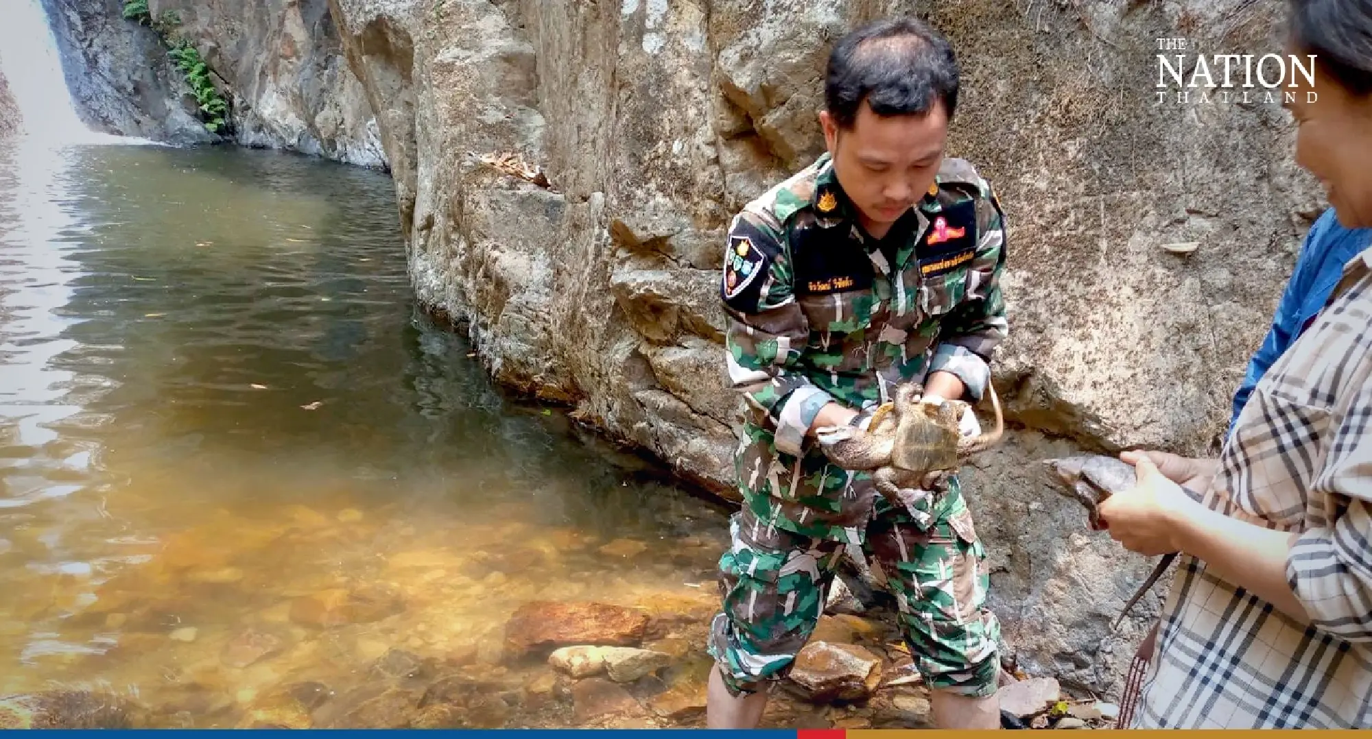 Endangered big-headed turtles found in a pond released to nature - Photo 7