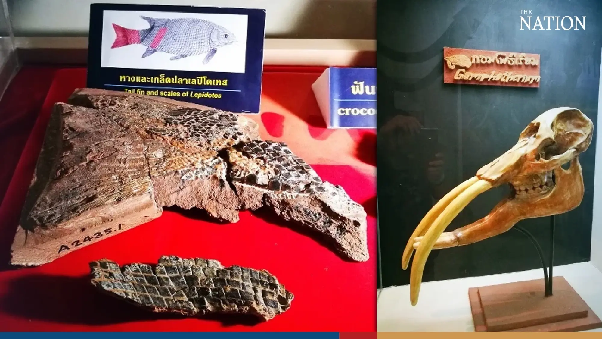 Thai geopark fusing prehistoric and natural wonders added to Unesco list - Photo 7
