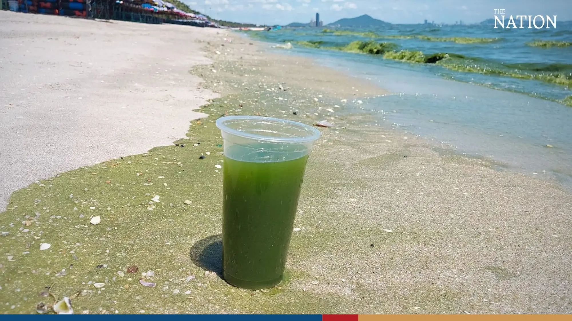 Tourists shun Bang Saen beach as plankton surge dyes sea green - Photo 2