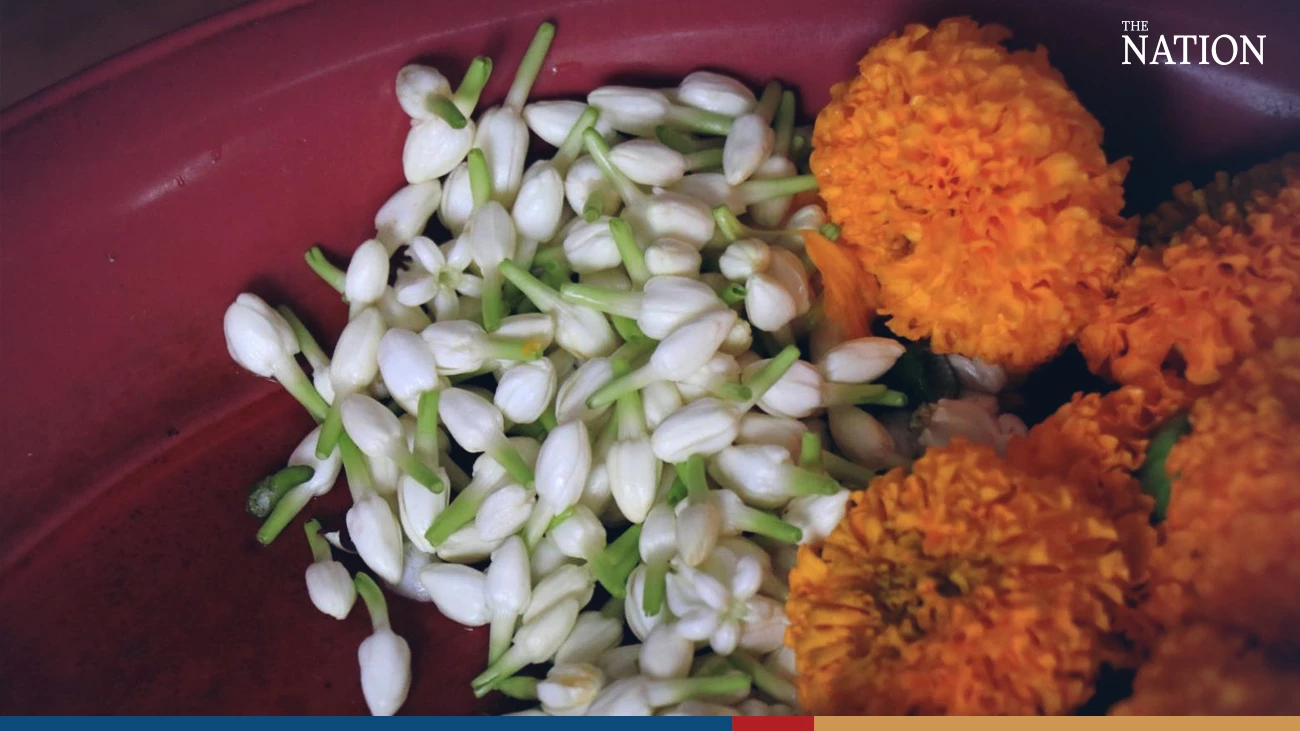 Price of jasmine expected to more than double for Mother’s Day