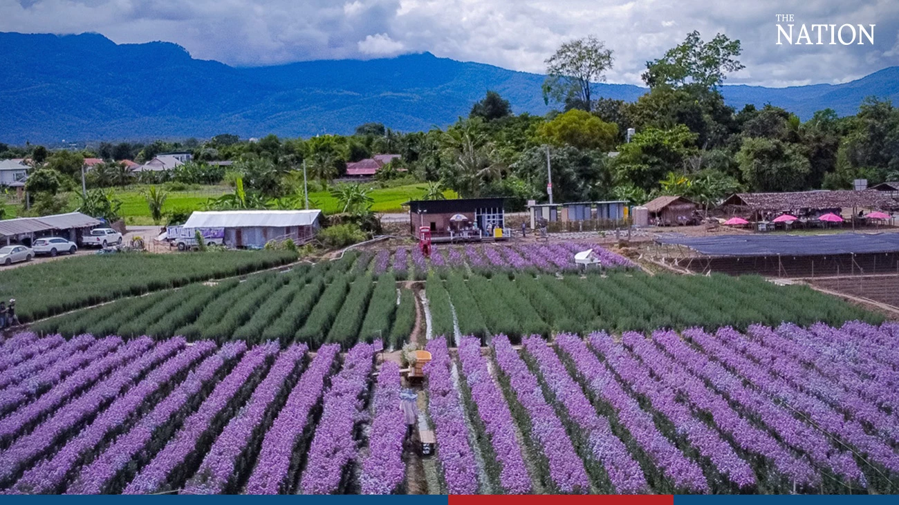 Nationthailand - nationthailand