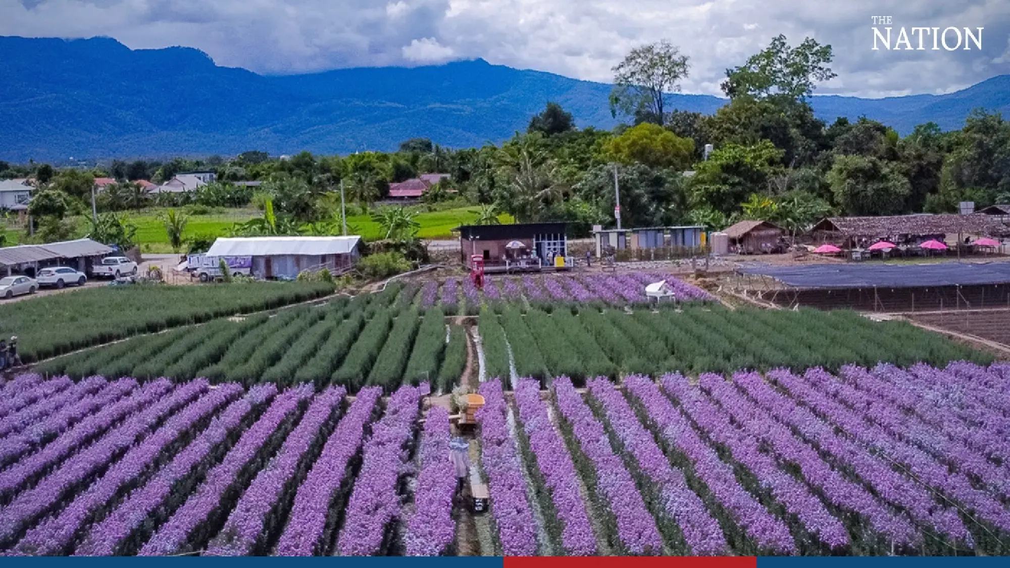 A riot of colour in Chiang Mai - Photo 1