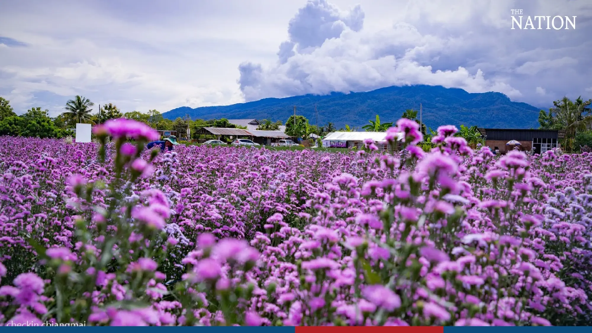 A riot of colour in Chiang Mai - Photo 5
