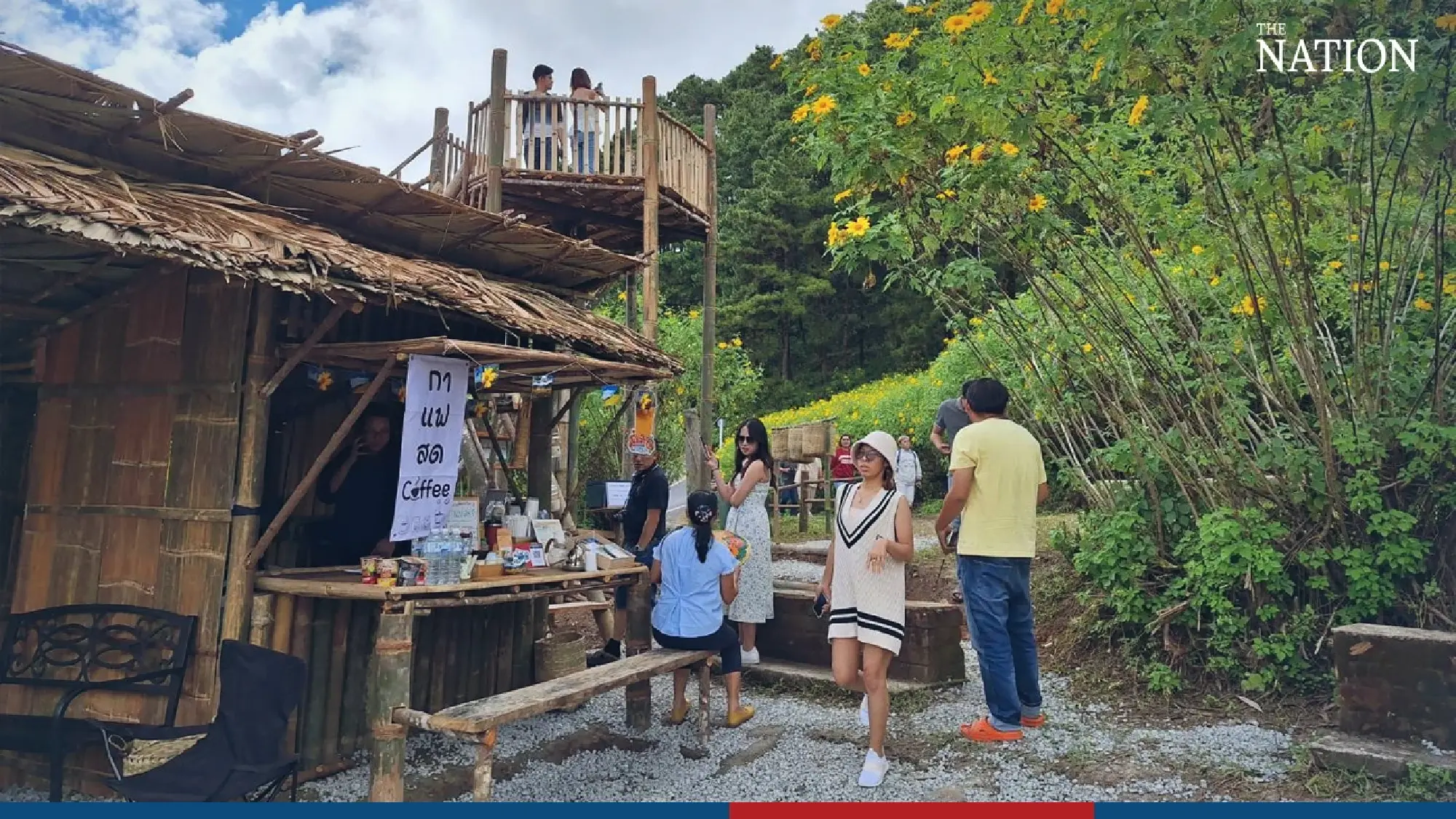 Bua Tong sunflowers beckon - Photo 1