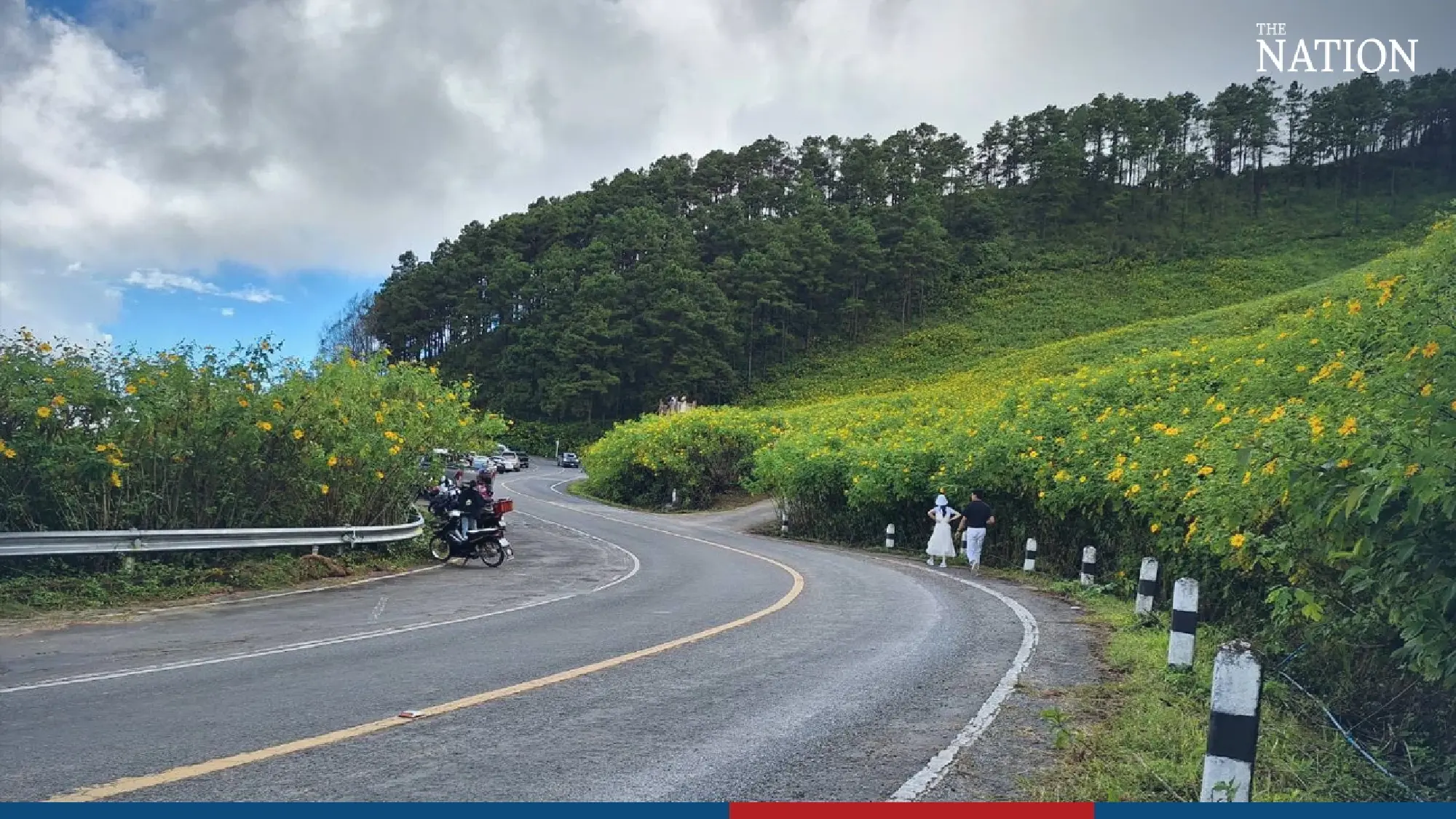Bua Tong sunflowers beckon - Photo 3
