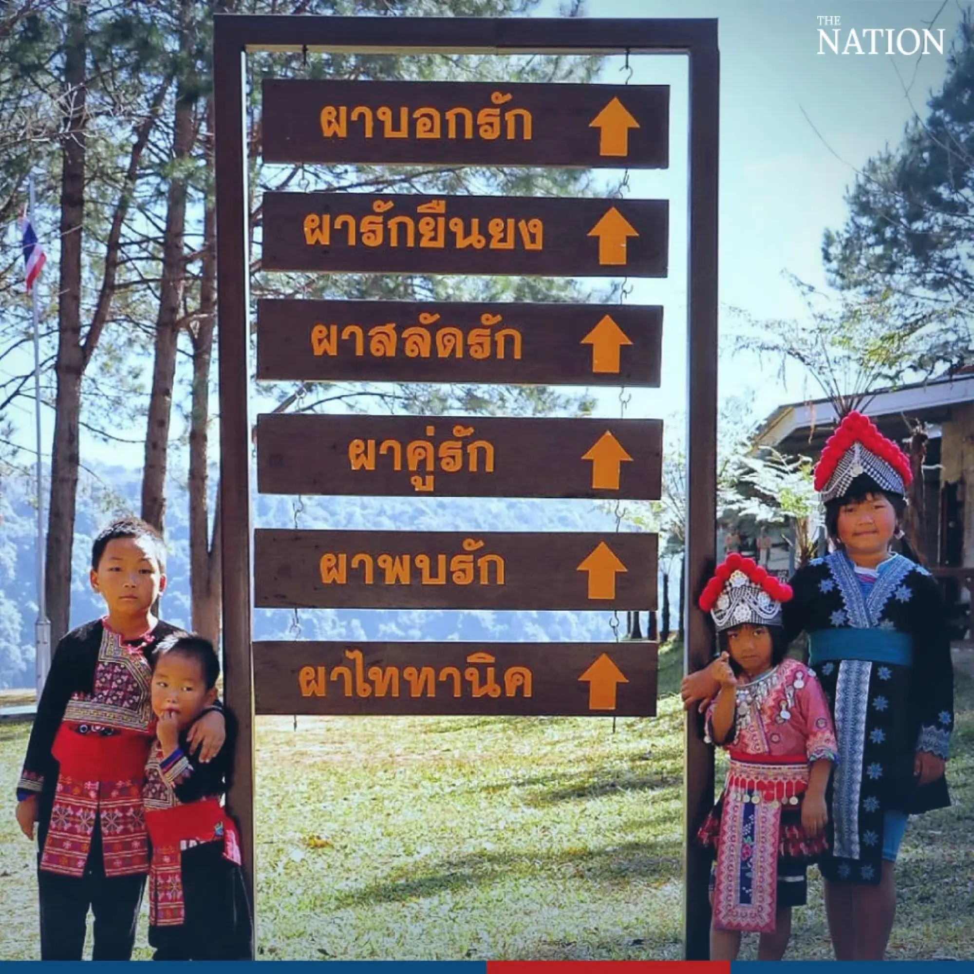 Visitors flock to Phitsanulok to marvel at fields of blooms - Photo 7