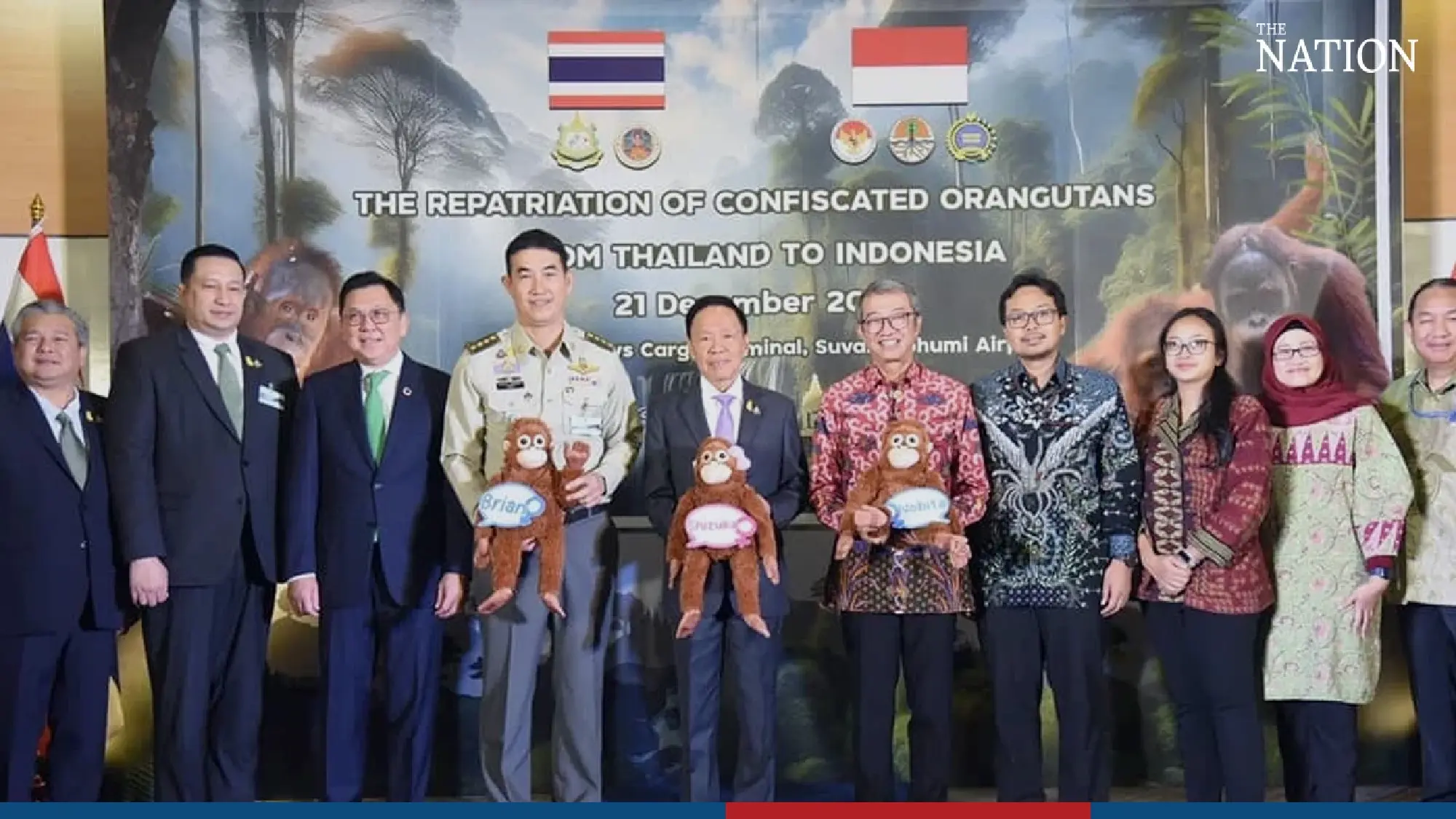 3 orangutans returned to Indonesia - Photo 2