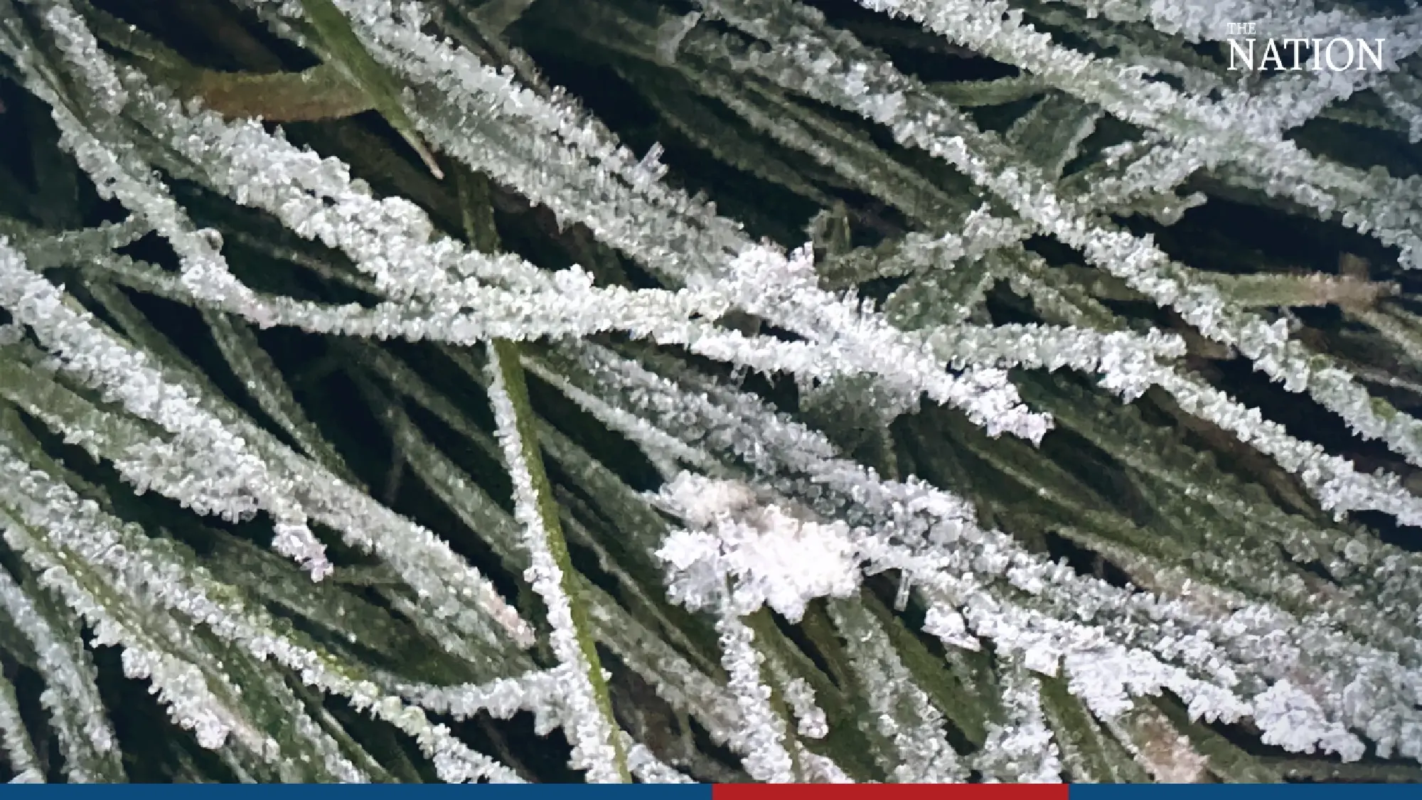 Hoarfrost blankets Doi Inthanon - Photo 4