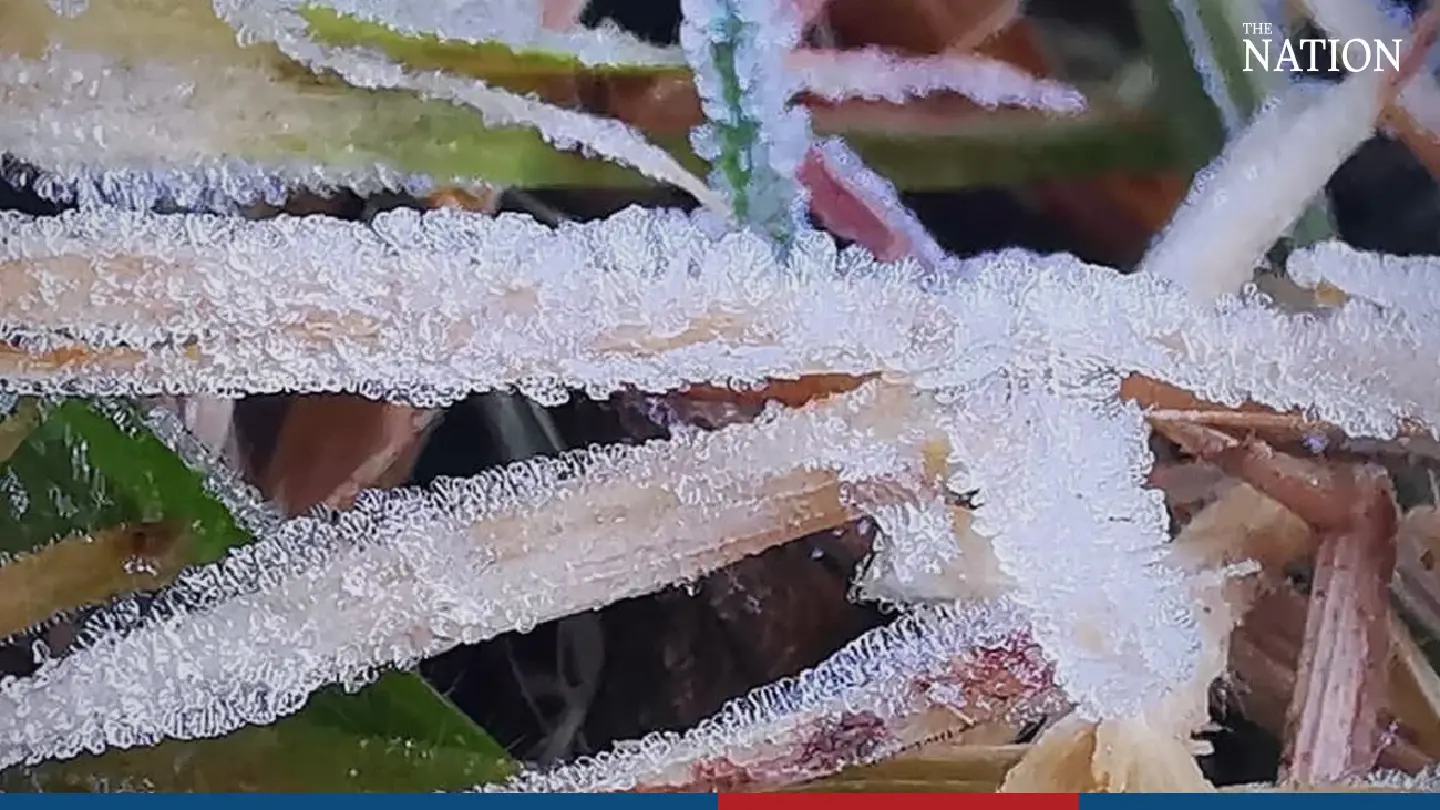 Icy splendour on Doi Inthanon - Photo 2
