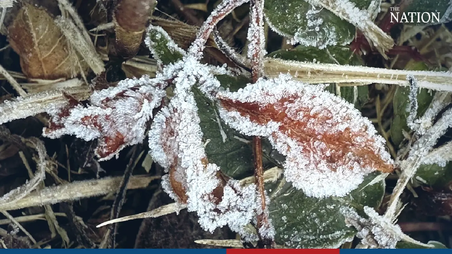 Hoarfrost blankets Doi Inthanon - Photo 2