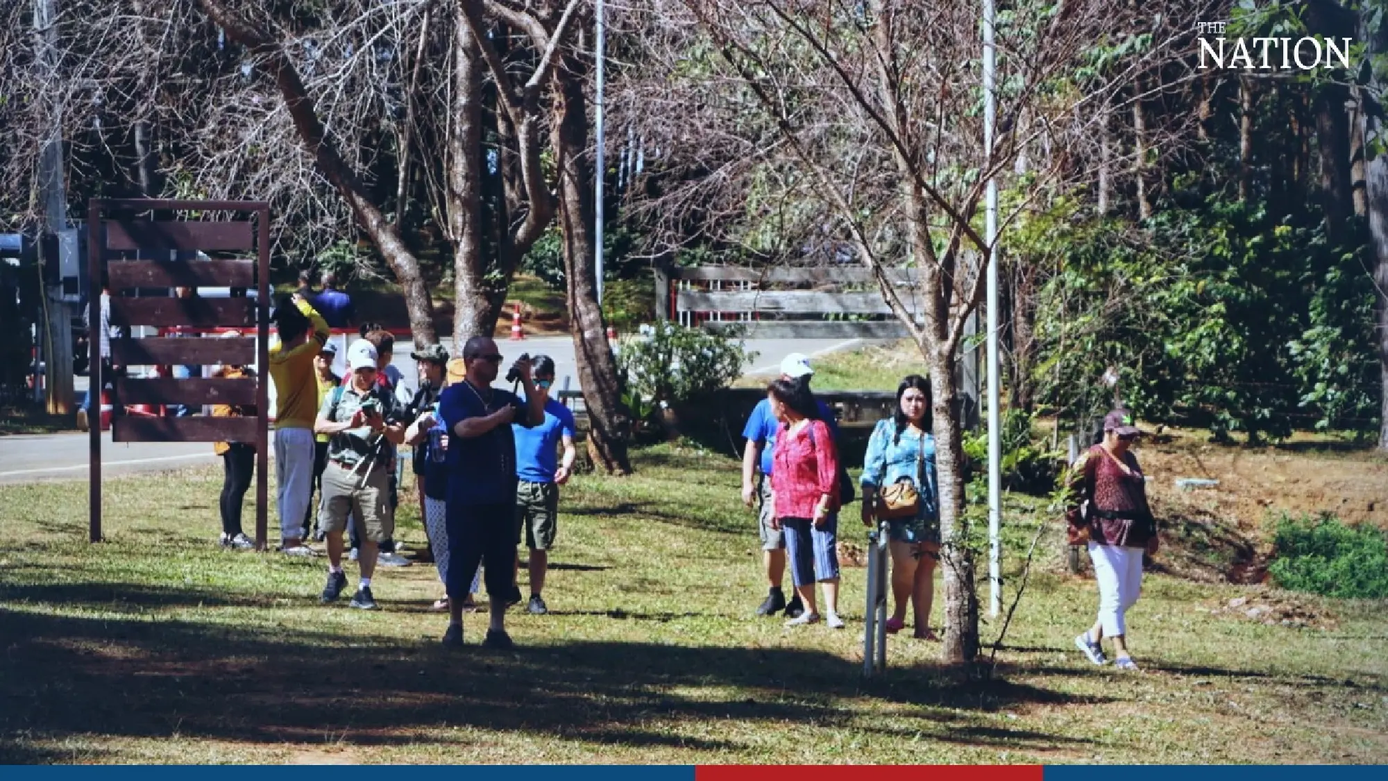 Visitors flock to Phitsanulok to marvel at fields of blooms - Photo 12