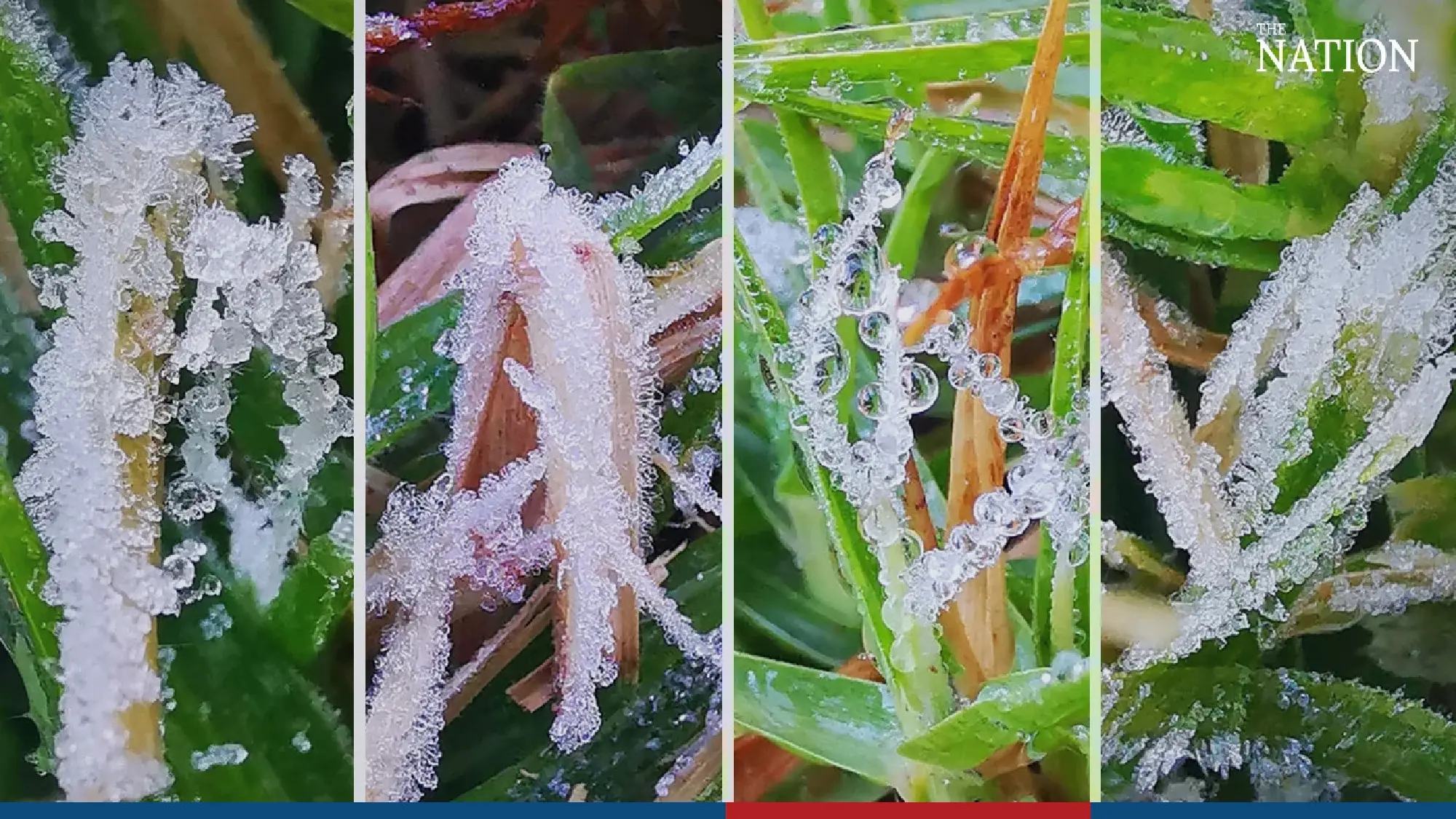 Icy splendour on Doi Inthanon - Photo 6