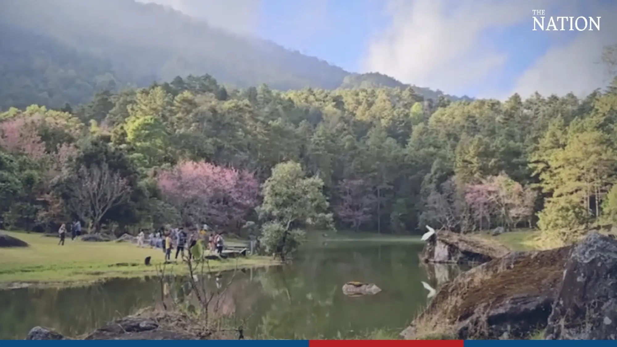 Doi Inthanon Park decked in pink - Photo 6
