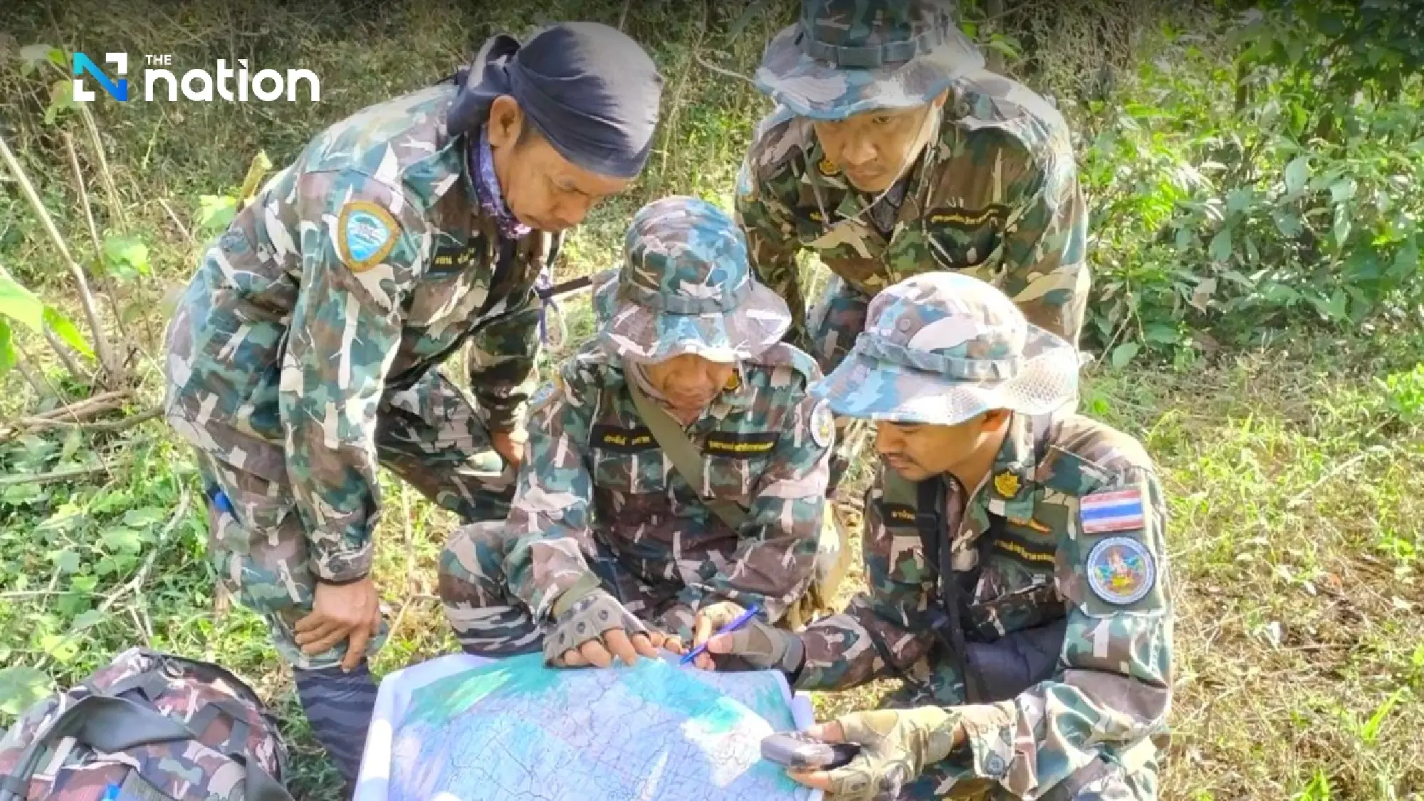 Wild elephant herd reclaims rescued elephant calf in Phetchabun - Photo 3