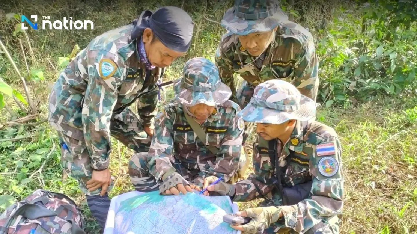 Wild elephant herd reclaims rescued elephant calf in Phetchabun - Photo 3
