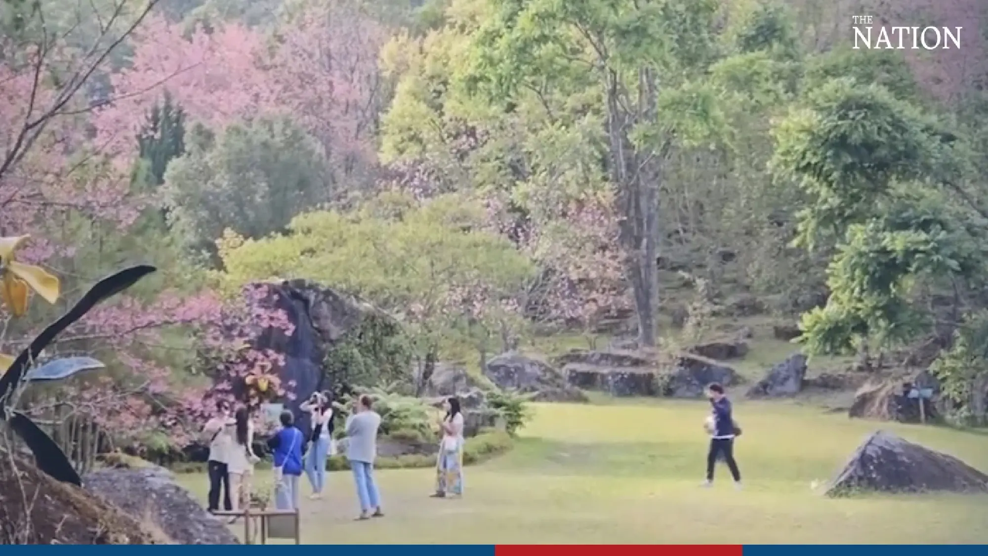 Doi Inthanon Park decked in pink - Photo 4