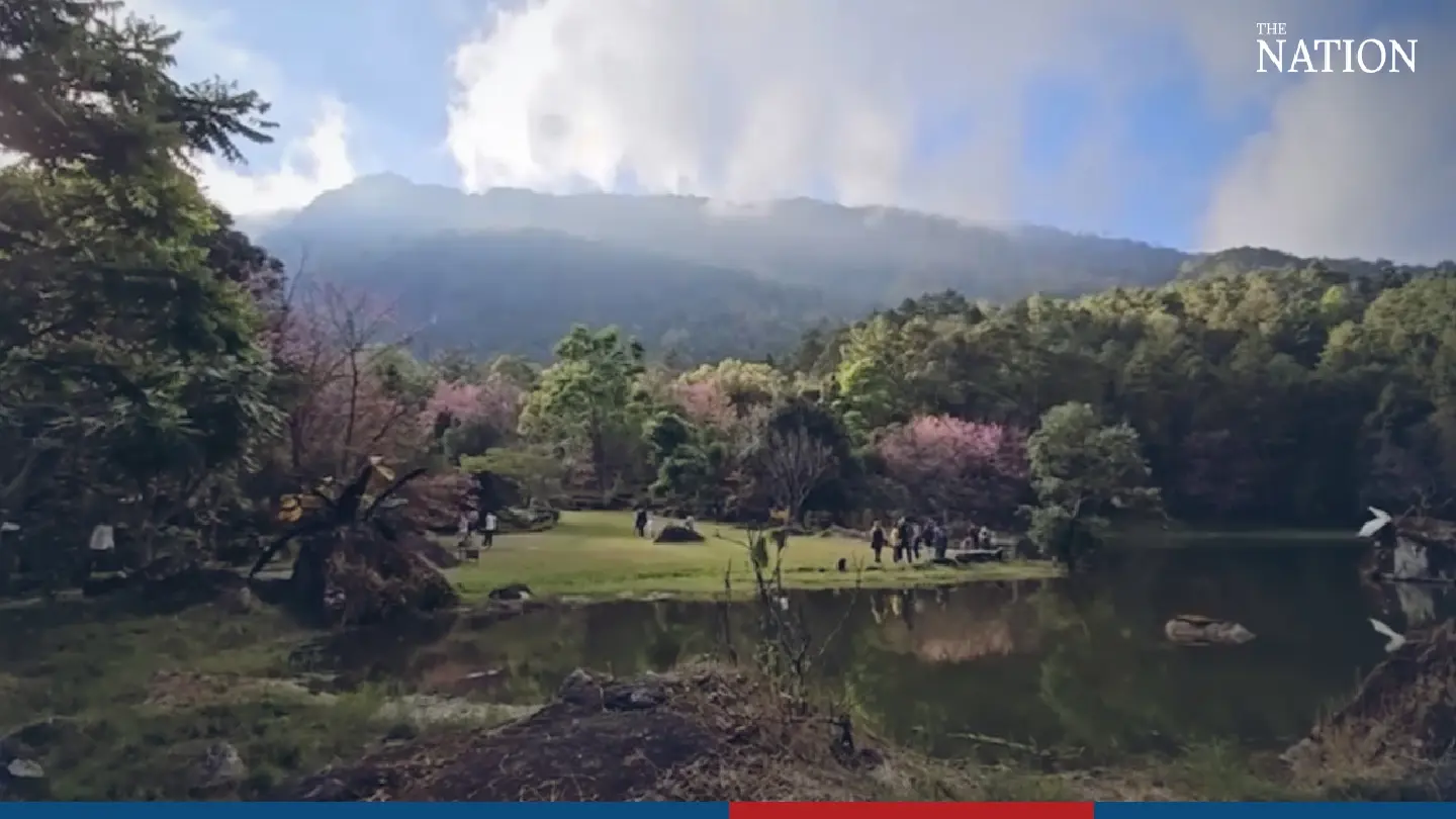 Doi Inthanon Park decked in pink - Photo 2