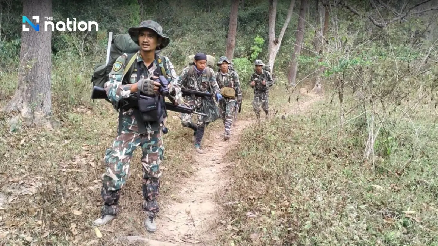 Wild elephant herd reclaims rescued elephant calf in Phetchabun - Photo 1