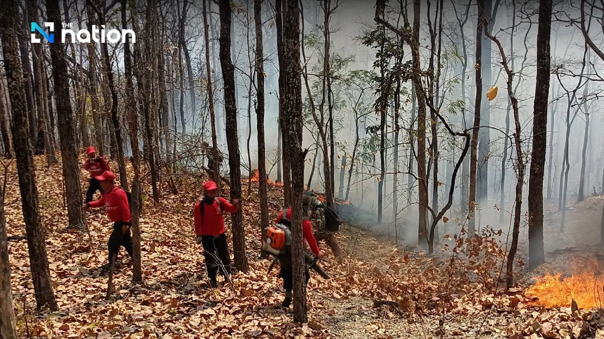 Chiang Mai turns to Army for help as forest fires continue blazing - Photo 1