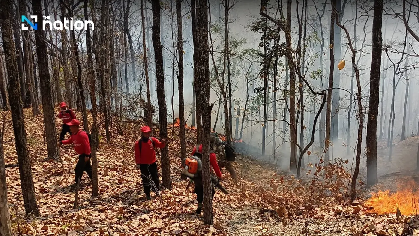 Chiang Mai turns to Army for help as forest fires continue blazing - Photo 1
