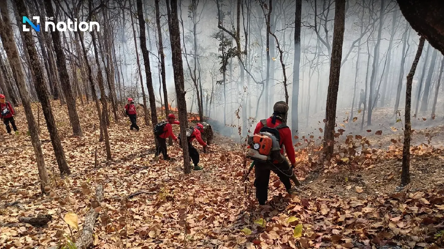 Chiang Mai turns to Army for help as forest fires continue blazing - Photo 3