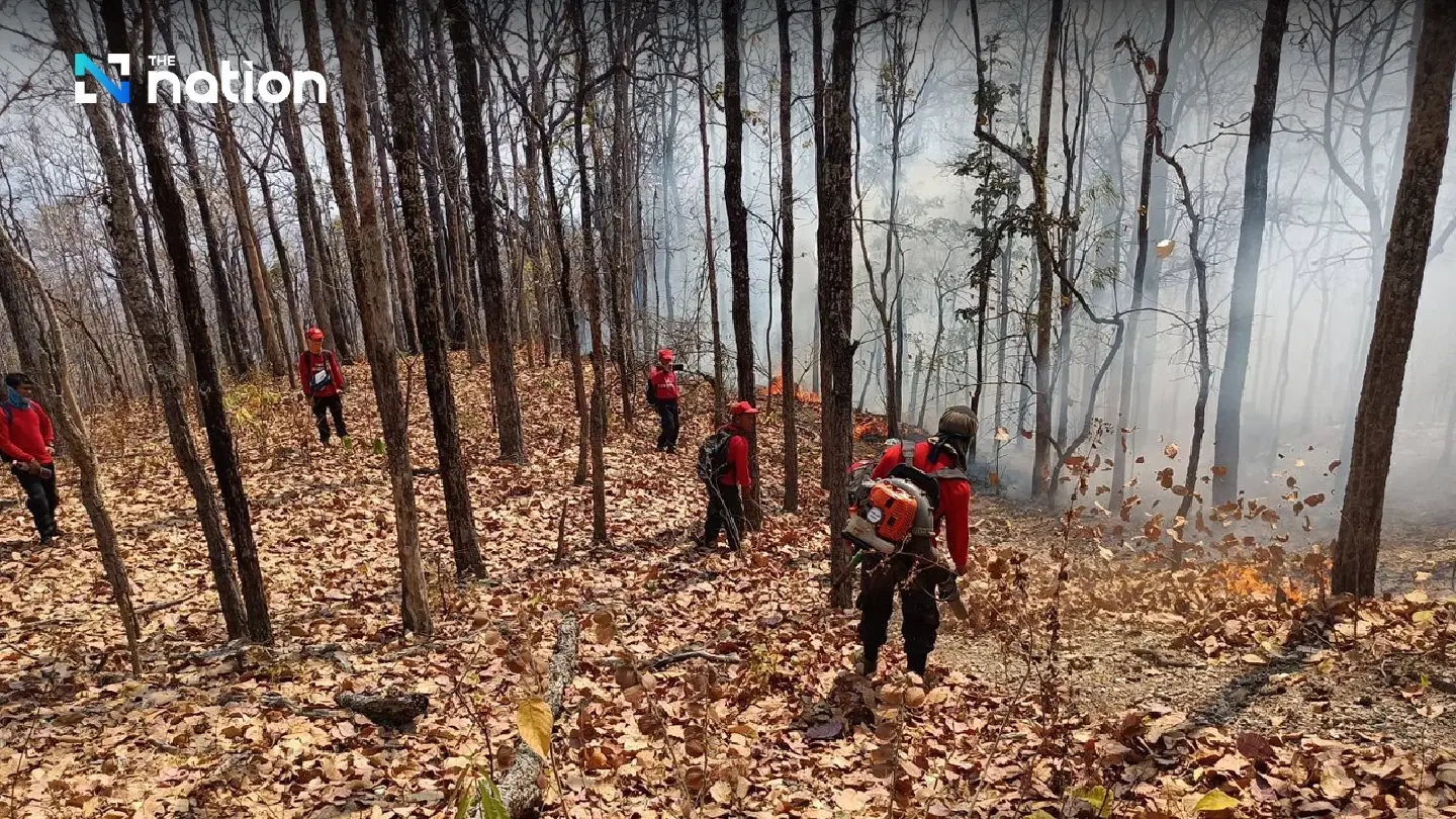 Chiang Mai turns to Army for help as forest fires continue blazing - Photo 2