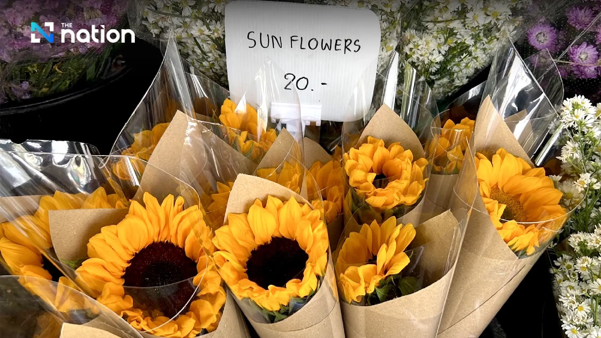 Chiang Mai flourishes with flower frenzy ahead of Valentine’s Day - Photo 6